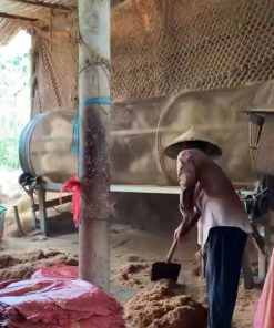 Quy Trình Xử Lý Nguyên Liệu Sơ Dừa Tại Cơ Sở Sản Xuất Bến Tre