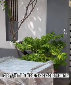 Mua máy xay nghiền bột gạo nước làm bánh - chi tiết máy 3
