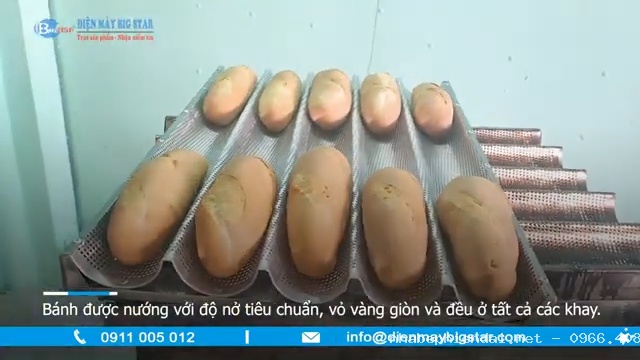 Dây chuyền sản xuất bánh mì vừa và nhỏ