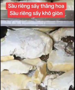 Sầu riêng sấy khô giòn giữ hương vị đặc trưng - chi tiết máy 2