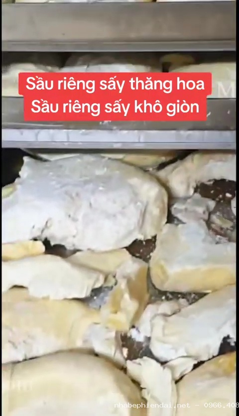 Sầu riêng sấy khô giòn giữ hương vị đặc trưng