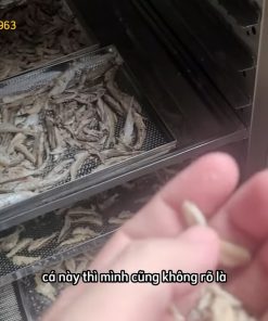 Cá sấy khô ăn liền - chi tiết máy 3