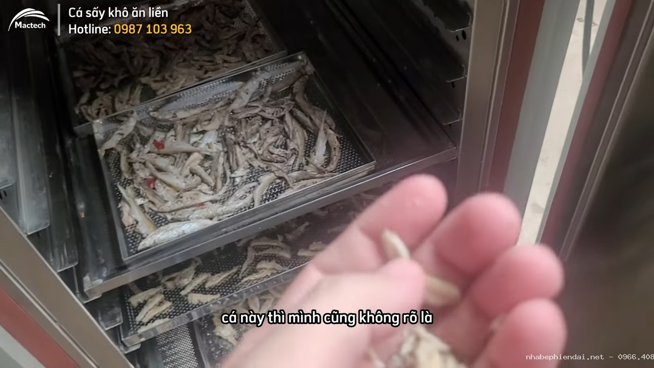 Cá sấy khô ăn liền – Giải pháp chế biến nhanh chỉ sau vài tiếng