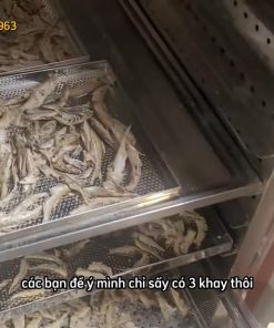 Cá sấy khô ăn liền – Giải pháp chế biến nhanh chỉ sau vài tiếng