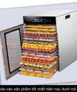 Kinh nghiệm mua máy sấy thực phẩm mini gia đình tốt nhất