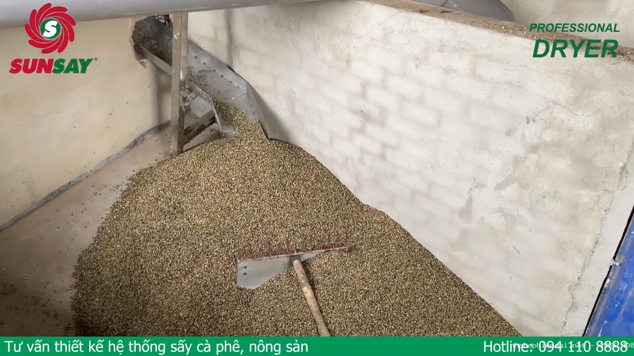 Lắp đặt hệ thống lò sấy cà phê nguyên hạt – dây chuyền sấy cà phê hạt thành cà phê nhân
