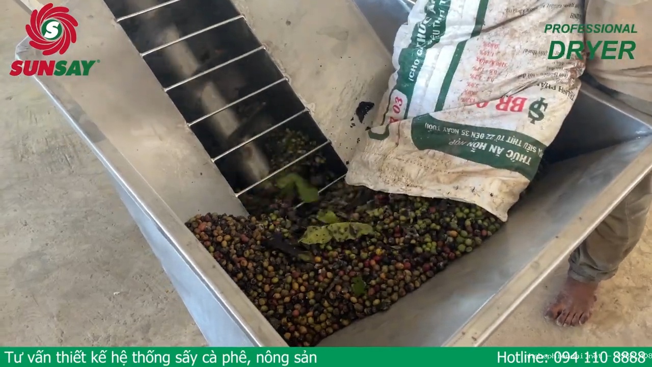 Lắp đặt hệ thống lò sấy cà phê nguyên hạt – dây chuyền sấy cà phê hạt thành cà phê nhân