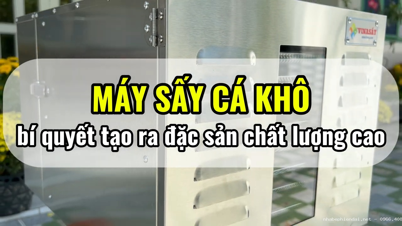 Máy sấy cá khô – bí quyết tạo ra đặc sản chất lượng cao từ công nghệ sấy hiện đại