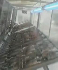 Quy trình sấy khô cá sặc lạt
