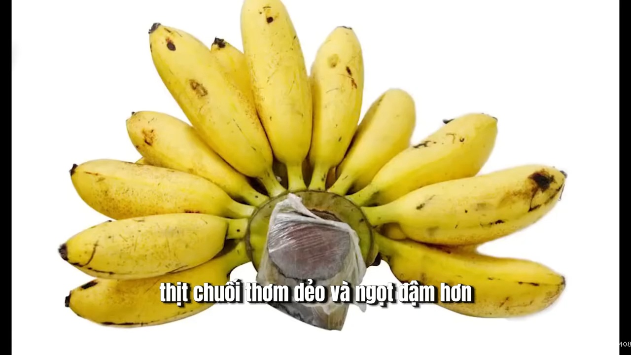 Cách làm chuối sấy dẻo cả quả thơm ngọt giữ trọn hương vị tự nhiên – Giới thiệu phương pháp sấy