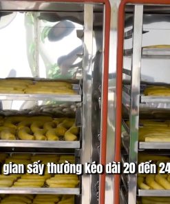 Cách làm chuối sấy dẻo cả quả thơm ngọt giữ trọn hương vị tự nhiên – Giới thiệu phương pháp sấy - chi tiết máy 2