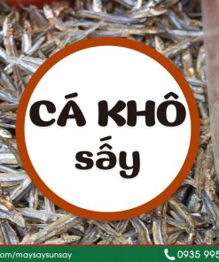 8 mẹo sử dụng máy sấy cá khô đạt chất lượng cao dịp Tết