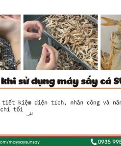 8 mẹo sử dụng máy sấy cá khô đạt chất lượng cao dịp Tết - chi tiết máy 4