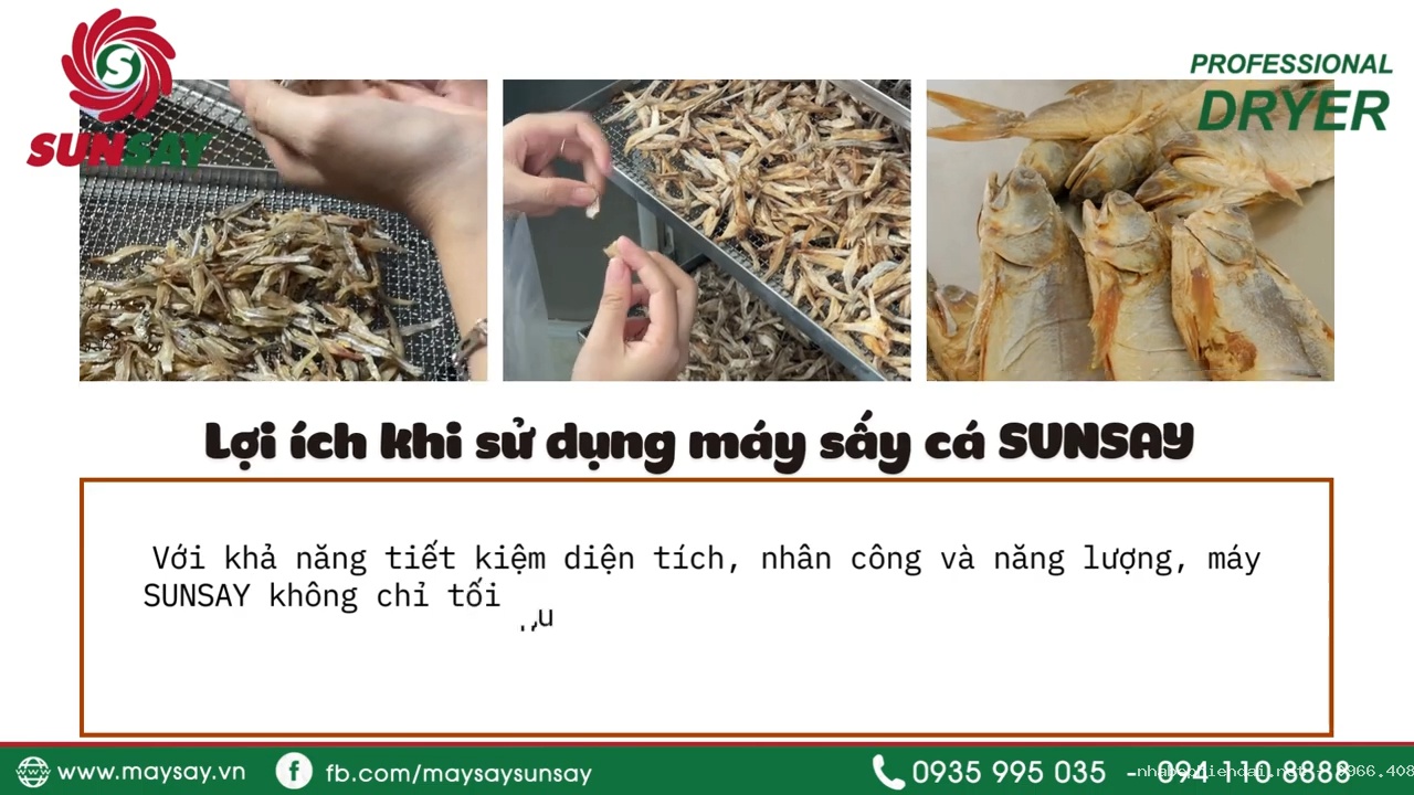 8 mẹo sử dụng máy sấy cá khô đạt chất lượng cao dịp Tết