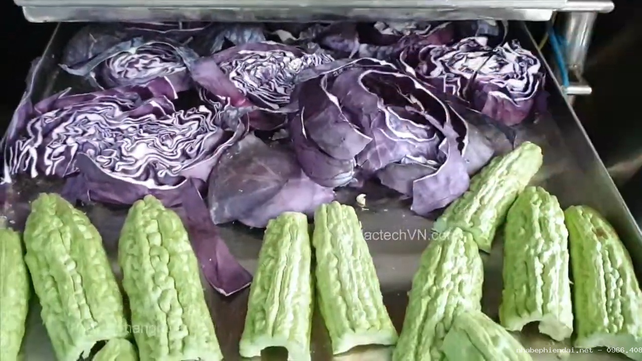 Dịch vụ sấy rau củ, hoa quả, sấy nấm đông trùng bằng máy sấy thăng hoa