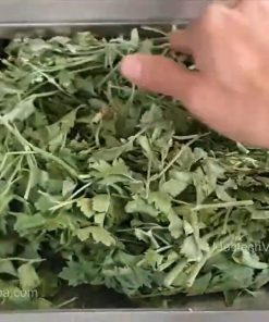 Dịch vụ sấy rau củ, hoa quả, sấy nấm đông trùng bằng máy sấy thăng hoa - chi tiết máy 2