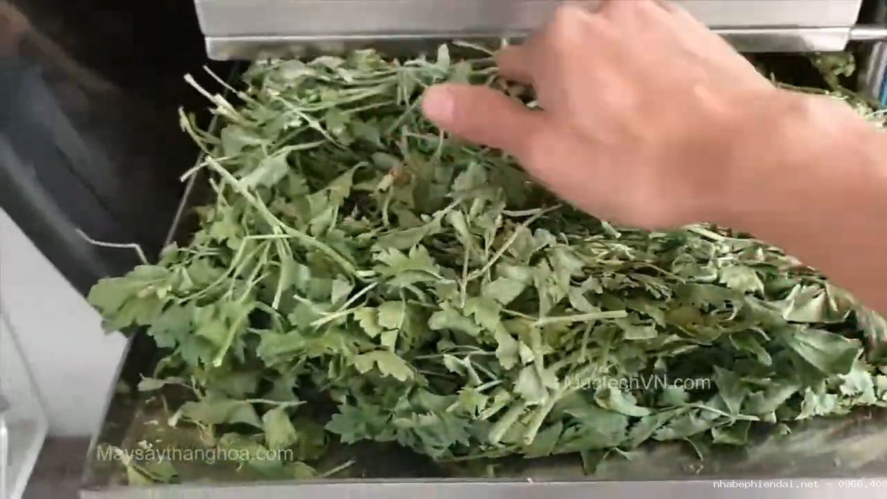 Dịch vụ sấy rau củ, hoa quả, sấy nấm đông trùng bằng máy sấy thăng hoa