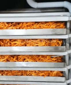 Sấy khô nấm đông trùng hạ thảo bằng máy sấy thăng hoa Mactech - chi tiết máy 2