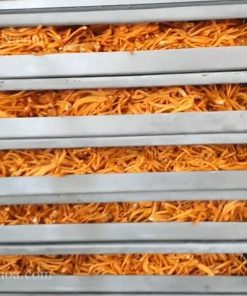 Sấy khô nấm đông trùng hạ thảo bằng máy sấy thăng hoa Mactech