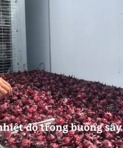MÁY SẤY NĂNG LƯỢNG MẶT TRỜI - chi tiết máy 2