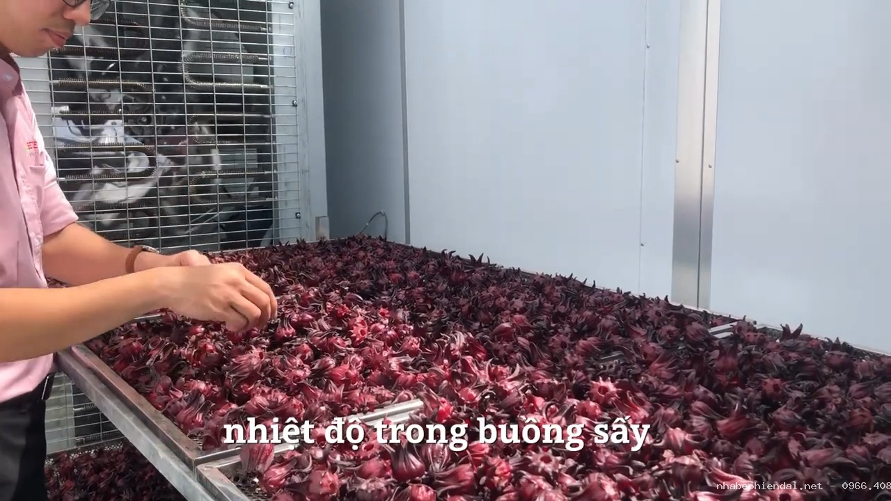 MÁY SẤY NĂNG LƯỢNG MẶT TRỜI GIẢI PHÁP TIẾT KIỆM VÀ BỀN VỮNG CHO NÔNG SẢN VIỆT