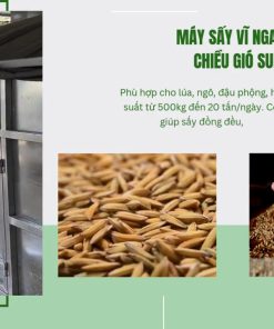 Máy sấy nông sản nào tốt nhất hiện nay – Top 3 máy sấy nông sản đáng đầu tư - chi tiết máy 2