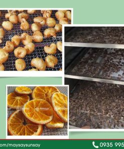 Máy sấy nông sản nào tốt nhất hiện nay – Top 3 máy sấy nông sản đáng đầu tư - chi tiết máy 3