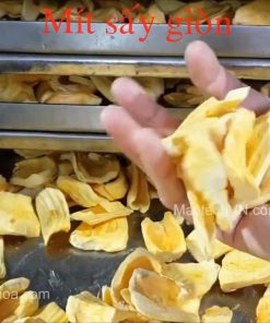 Cách sấy mít khô giòn, tìm hiểu máy sấy mít giòn, sấy hoa quả khô giòn - chi tiết máy 2