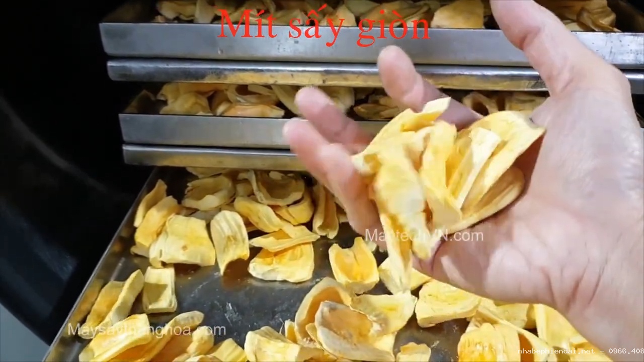 Cách sấy mít khô giòn, tìm hiểu máy sấy mít giòn, sấy hoa quả khô giòn