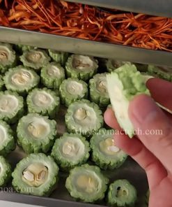 Khổ qua sấy, mướp đắng sấy khô giòn bằng máy sấy thăng hoa màu đẹp - chi tiết máy 2