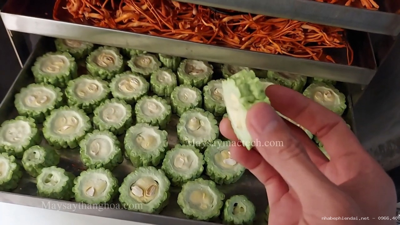Khổ qua sấy, mướp đắng sấy khô giòn bằng máy sấy thăng hoa màu đẹp