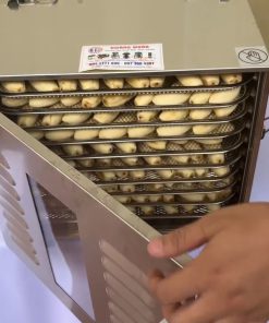 MÁY SẤY CHUỐI DẺO, MÁY SẤY DẺO TRÁI CÂY – CỦ QUẢ - chi tiết máy 2