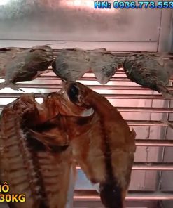 Máy sấy cá khô gia đình & công nghiệp giá tốt