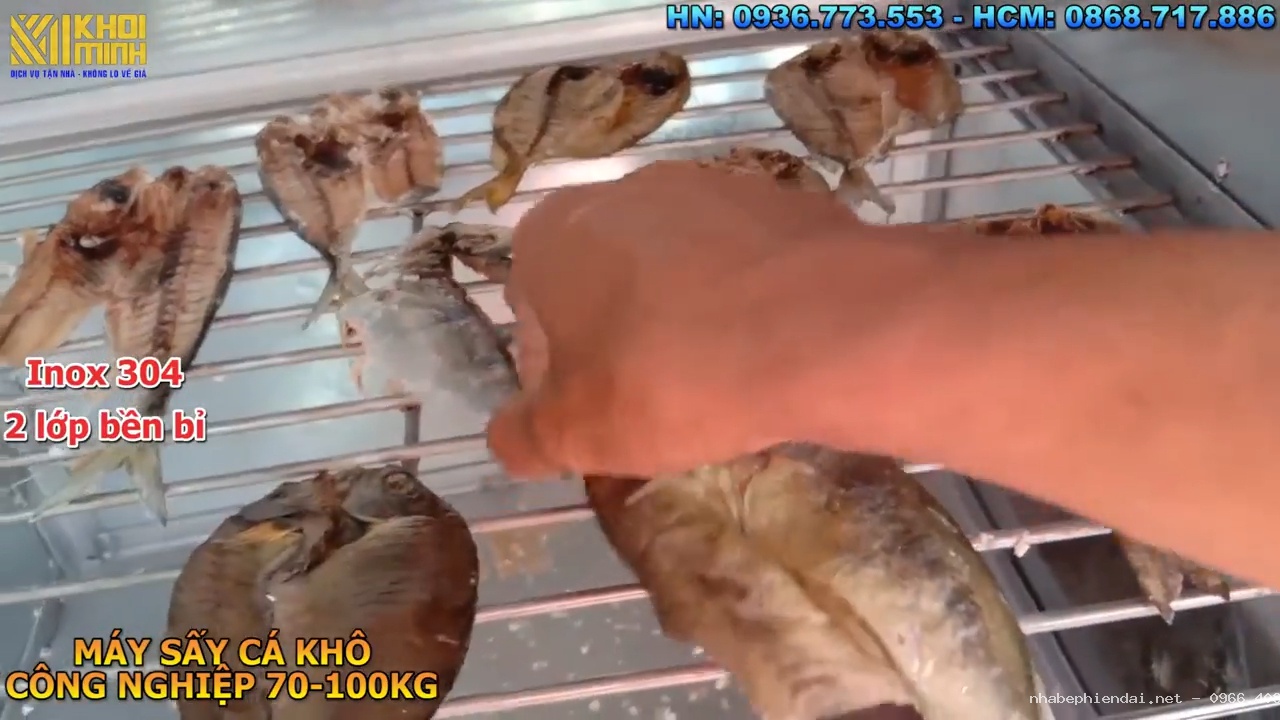 Máy sấy cá khô gia đình & công nghiệp giá tốt