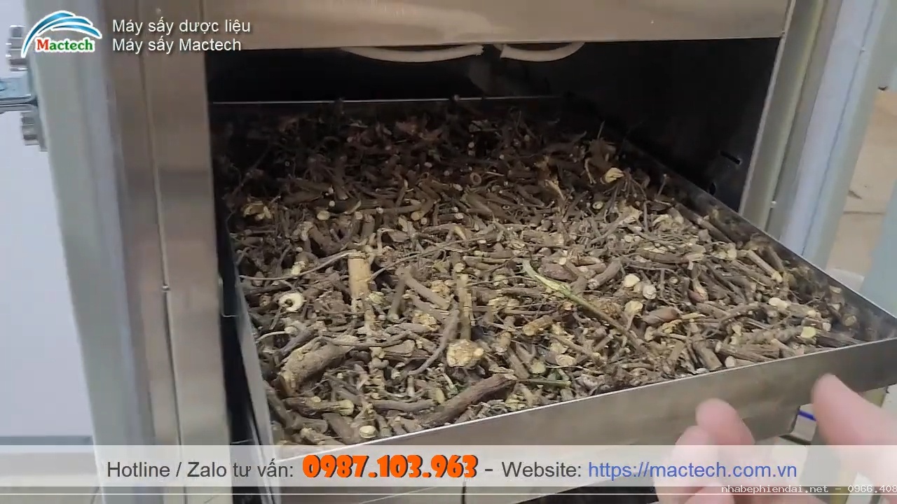 Máy sấy cam thảo giải pháp sấy dược liệu hiệu quả