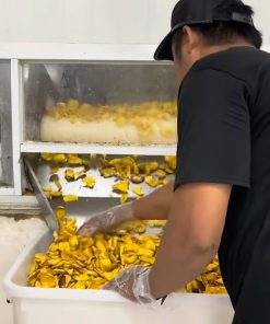 Quy trình sản xuất mít sấy chất lượng cao trong chế biến thực phẩm