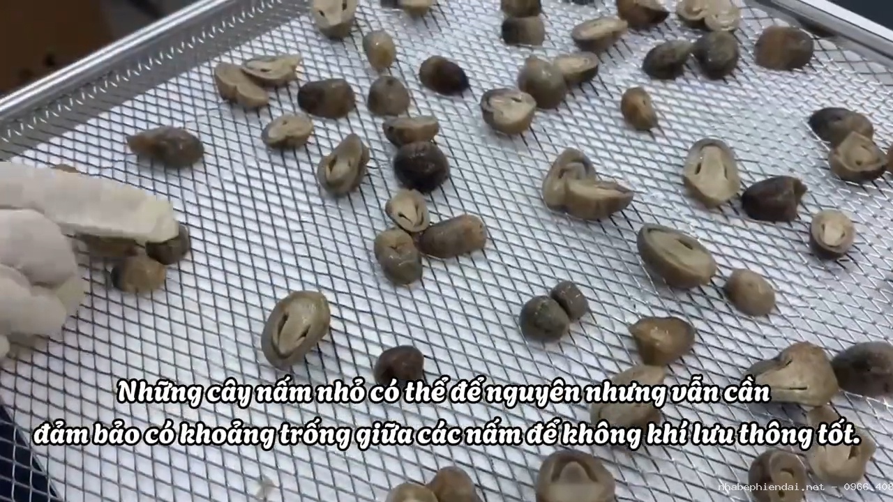 Cách làm nấm rơm sấy khô đạt chuẩn chất lượng và bảo quản lâu dài