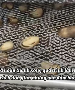 Cách làm nấm rơm sấy khô đạt chuẩn chất lượng và bảo quản lâu dài - chi tiết máy 2