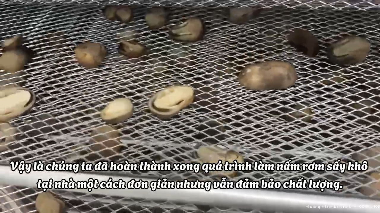 Cách làm nấm rơm sấy khô đạt chuẩn chất lượng và bảo quản lâu dài