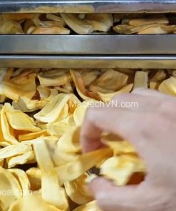 Cách sấy mít khô giòn, phân biệt mít sấy giòn và mít chiên giòn - chi tiết máy 2