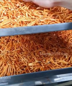 Dịch vụ sấy nấm đông trùng hạ thảo bằng máy sấy thăng hoa 10kg - chi tiết máy 2