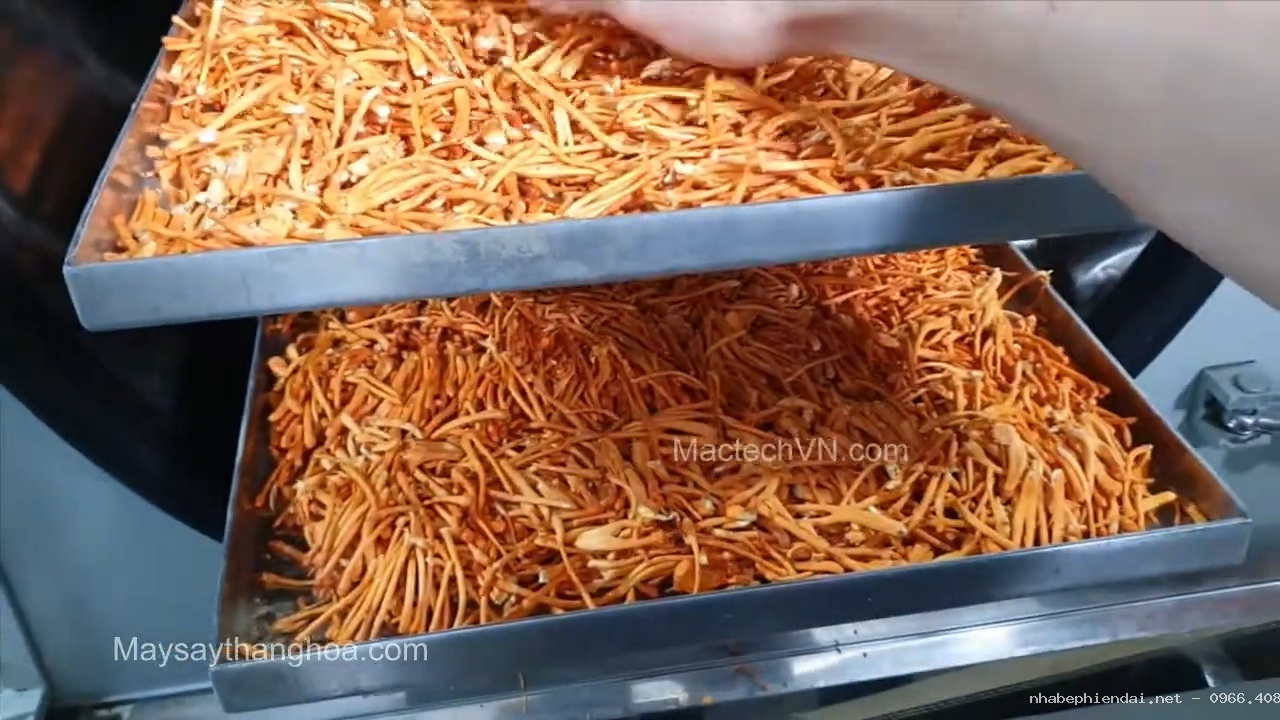 Dịch vụ sấy nấm đông trùng hạ thảo bằng máy sấy thăng hoa 10kg