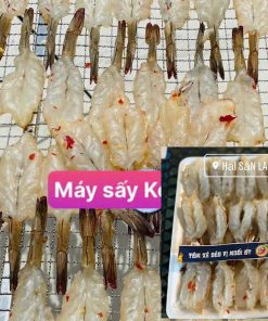 Máy sấy cá khô tôm khô hải sản khô Kenview – Giải pháp sấy hải sản hiệu quả - chi tiết máy 2