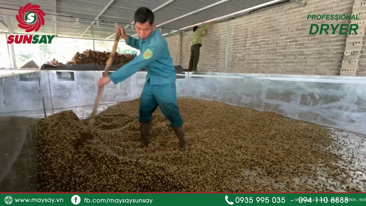 Máy sấy cà phê dễ vận hành – Giải pháp đơn giản hóa công nghệ sấy công nghiệp