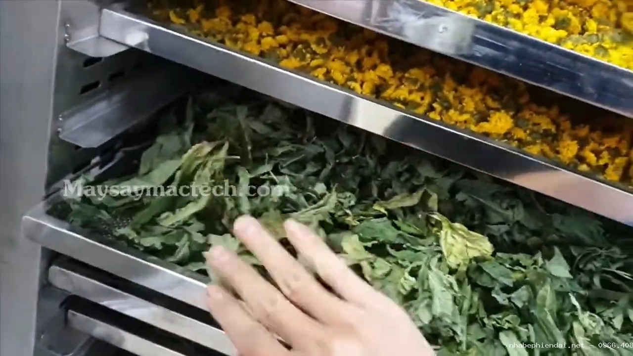 Máy sấy lạnh dược liệu phù hợp sấy khô các loại dược liệu giá trị cao