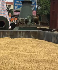Máy sấy lúa 2 tấn tại Vũ Thư Thái Bình cho nông nghiệp hiệu quả