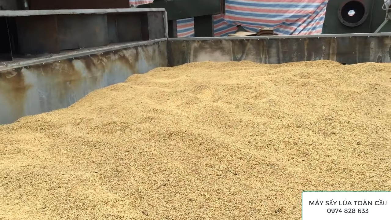 Máy sấy lúa 2 tấn tại Vũ Thư Thái Bình cho nông nghiệp hiệu quả