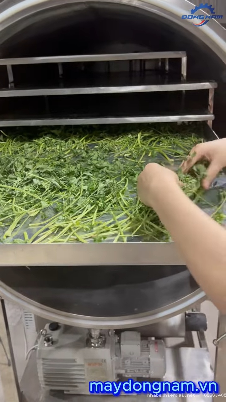 Cách Máy Sấy Thăng Hoa Làm Khô Bơ, Thanh Long, Sầu Riêng, Mít, Chuối, Đông Trùng Hạ Thảo Và Rau Cần Tây