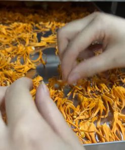 Cách Máy Sấy Thăng Hoa Làm Khô Bơ, Thanh Long, Sầu Riêng, Mít, Chuối, Đông Trùng Hạ Thảo Và Rau Cần Tây - chi tiết máy 2