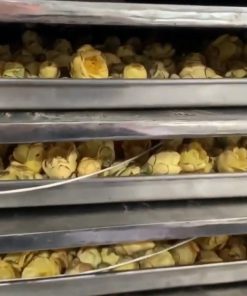 Sầu riêng sấy khô giòn bằng máy sấy thăng hoa – Công nghệ sấy lạnh âm -40°C hiện đại